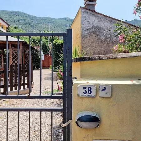 Apartment Casa Cristina Con Patio Privato